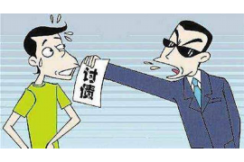 阳东为什么选择专业追讨公司来处理您的债务纠纷？